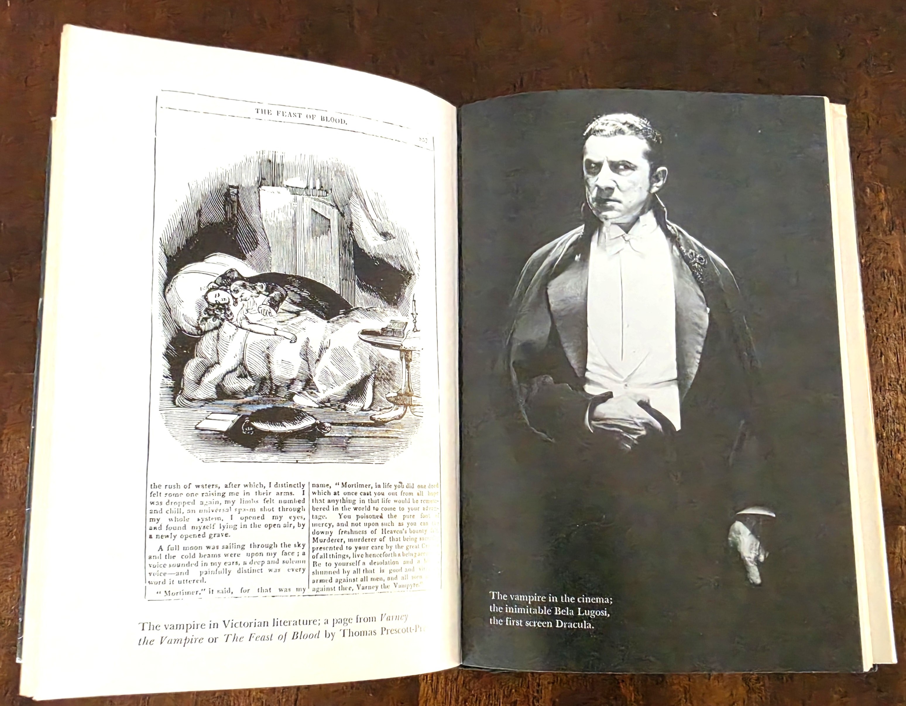 Image for The Natural History of the Vampire The Natural History of the Vampire