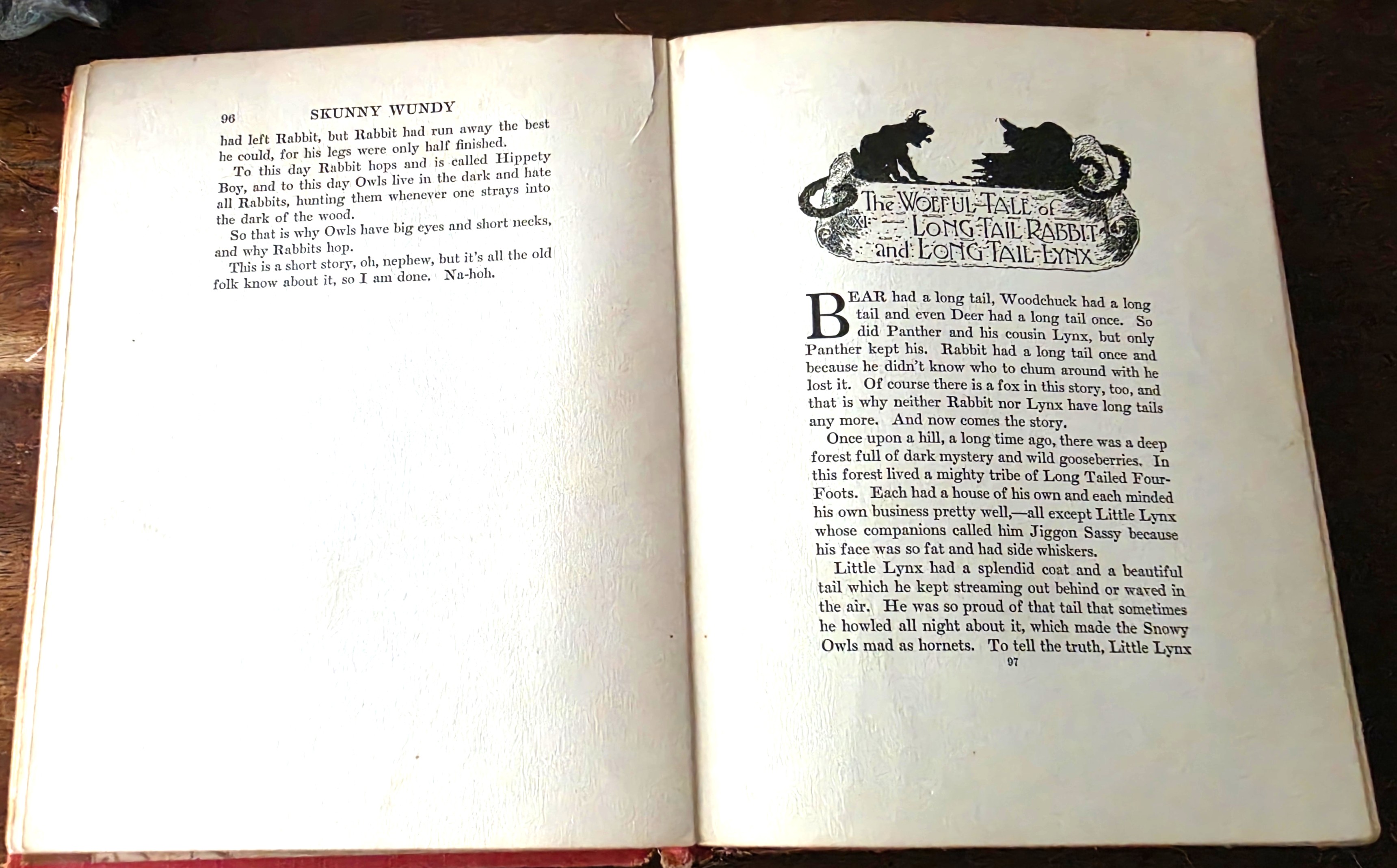 Image for Skunny Wundy and Other Indian Tales Skunny Wundy and Other Indian Tales