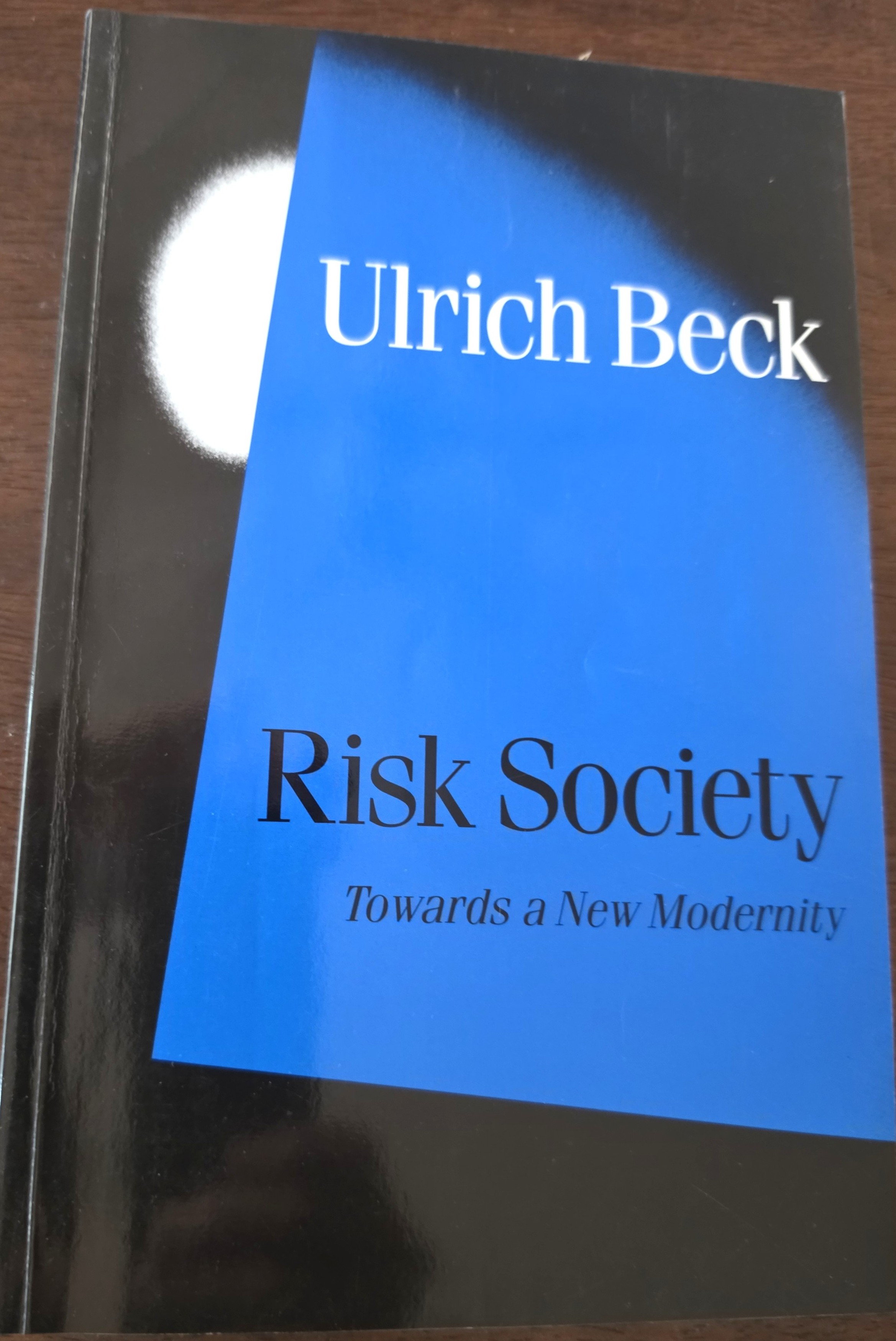 Image for Risk Society: Towards a New Modernity Risk Society: Towards a New Modernity