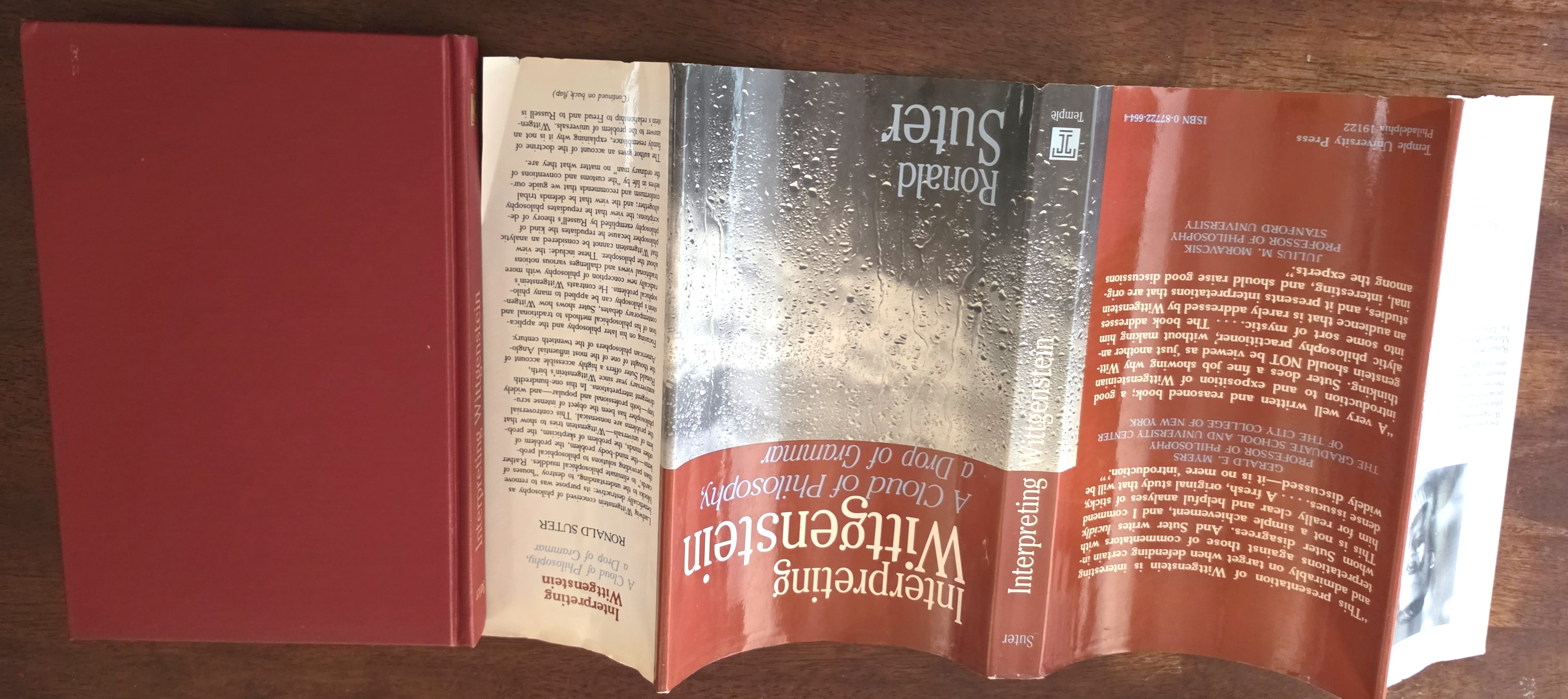 Image for Interpreting Wittgenstein: A Cloud of Philosophy, a Drop of Grammar Interpreting Wittgenstein: A Cloud of Philosophy, a Drop of Grammar