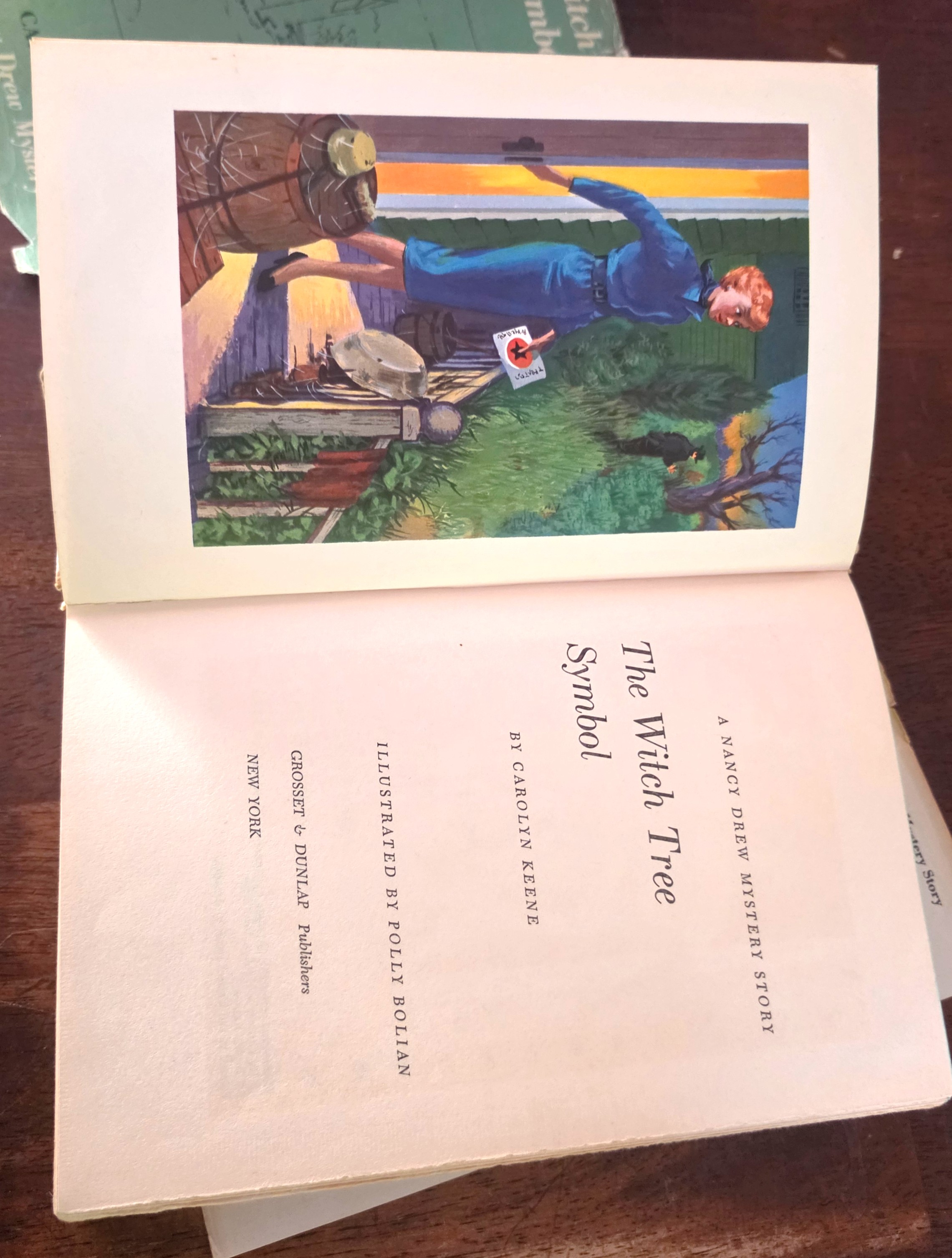 Image for The Witch Tree Symbol (A Nancy Drew Mystery Story-Cameo Edition) The Witch Tree Symbol (A Nancy Drew Mystery Story-Cameo Edition)